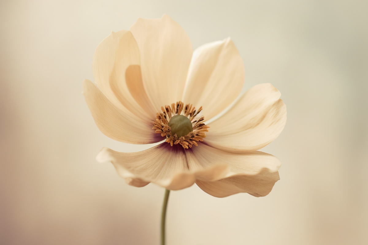 ragyogj nőként konzultáció